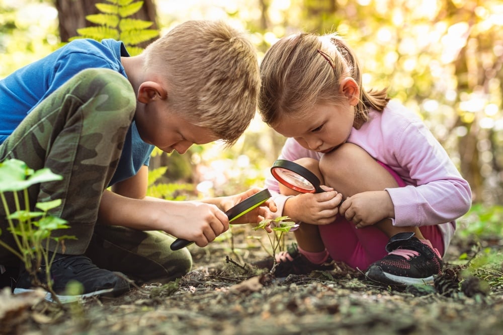 children_learning_in_nature