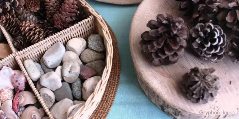 Assortment of pebbles and pinecones inside trays made from wood